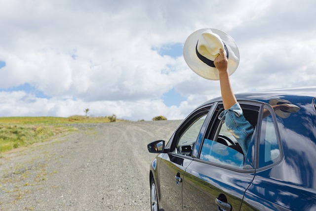How to Plan a Road Trip and Enjoy the Open Road